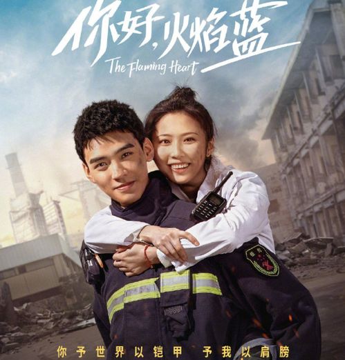 电影推荐：宠物治愈韩剧推荐电影有哪些（韩剧讲宠物医生的电视剧）