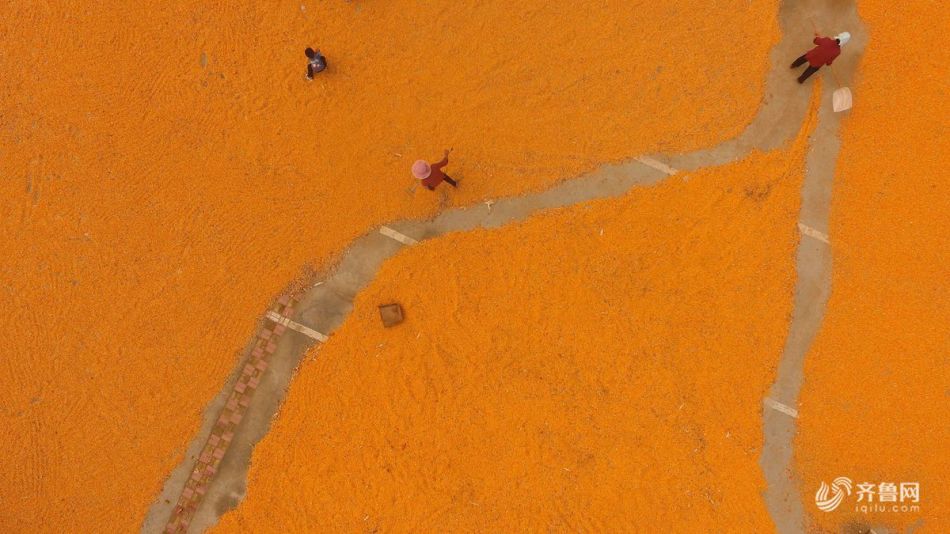 高压监狱法国满天星伦理电影高清完整版免费在线观看天龙