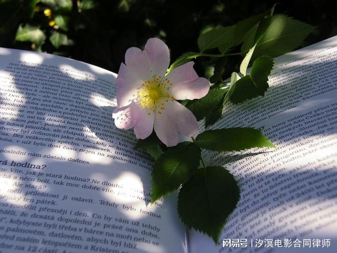 投资方对电视剧发行收入结算分配表盖章确认后还能否撤销？