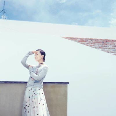 免费短剧:张瑶短剧免费看全集(张瑶是哪部电视剧)