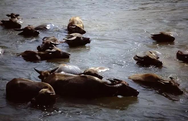 不要被电视剧骗了！80年代的“老桂林”其实是这个样子(图3)