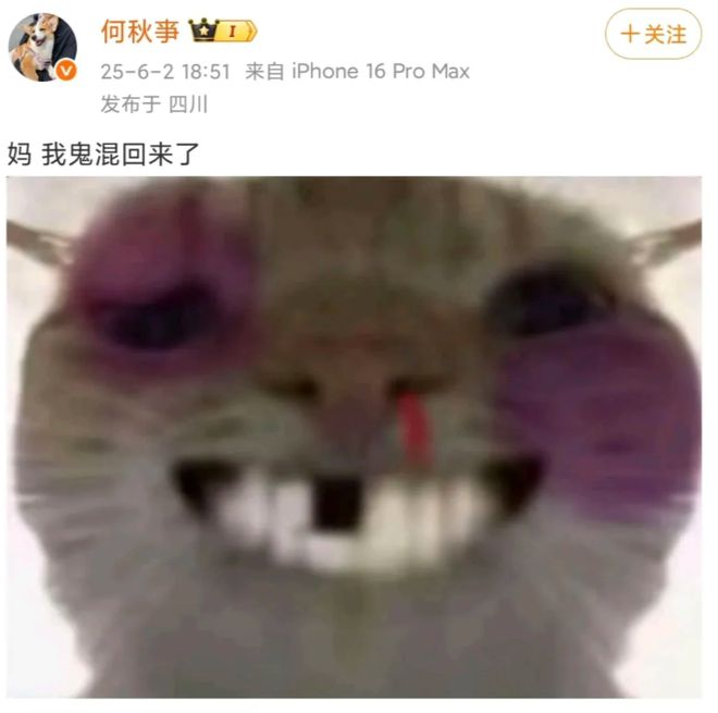 千万网红何秋亊抄袭塌房网红终究是！(图9)