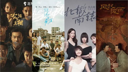 免费短剧：错登科短剧免费看全集（错恨电视