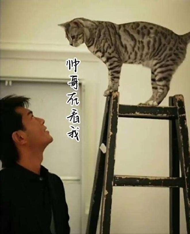 在港剧世界中他或许不是最耀眼的主角(图27)