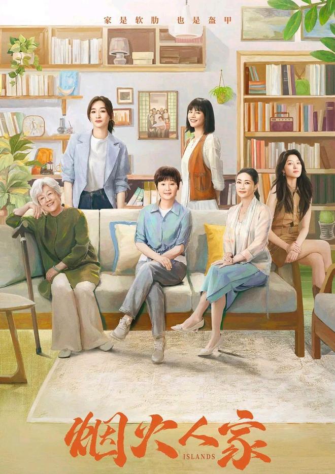 剧荒必看！6部近年热播的超好看“家庭剧”真实又上头！(图5)