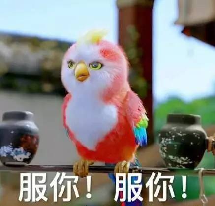 《楚乔传》四大败笔：假大空抠图李沁穿衣被轮奸(图6)