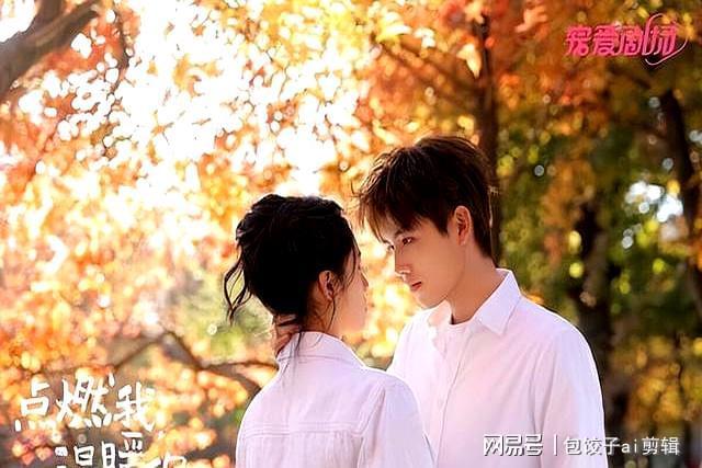 10部错过很可惜甜宠剧！《许我耀眼》好看有部8分剧全网零负评(图6)