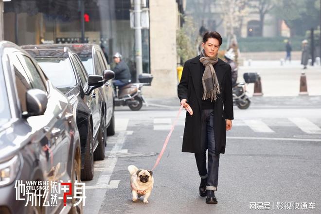 全网电视剧热度排行榜：《凤凰台上》排名第三第一名断层领先(图4)