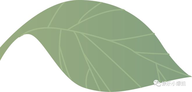 【2025127】曾舜晞和白鹿有可能？陈星旭私下生活怎么样？我们这边的电视剧都是做40集？