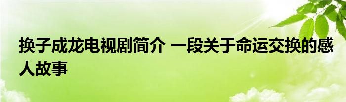 换子成龙电视剧简介一段关于命运交换的感人故事
